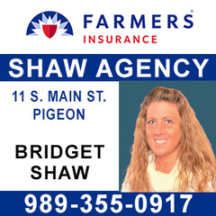 Shaw Agency